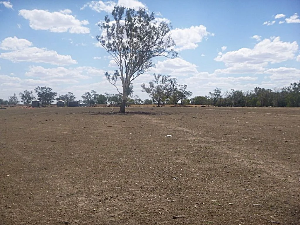 Additional image 4 of 785 Curlew Road, Lake Cargelligo NSW 2672