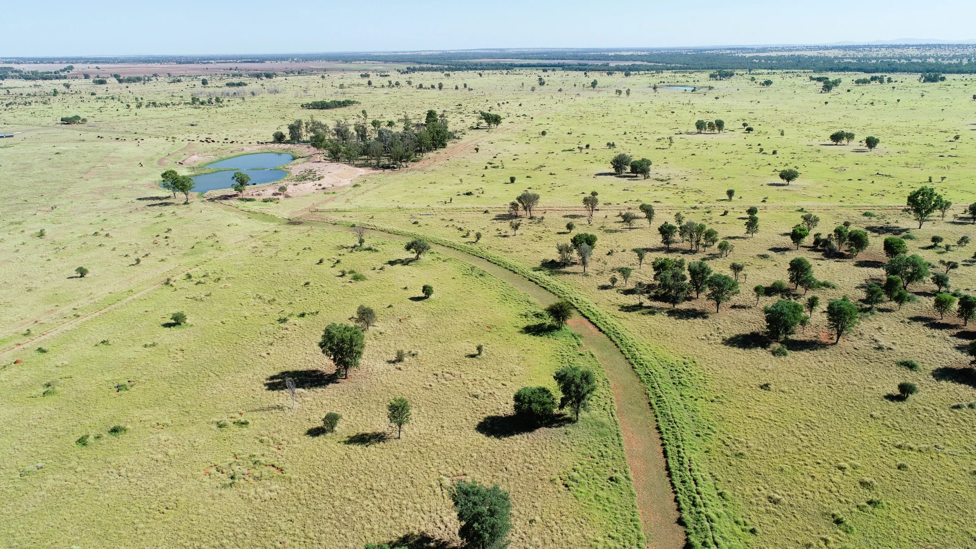 Additional image 15 of 'Edenhope' 615 Barracks Road, Roma QLD 4455