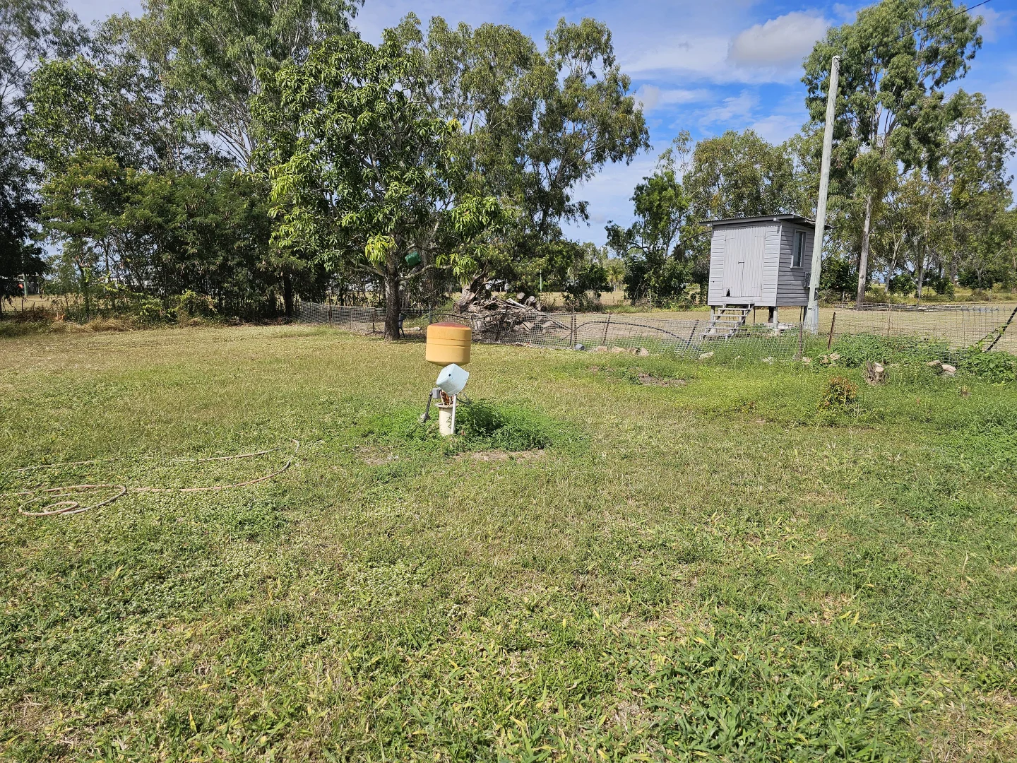 Image 13