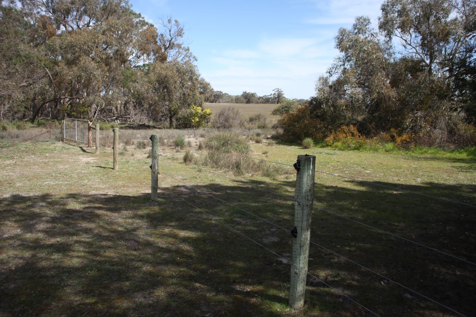 Image 8