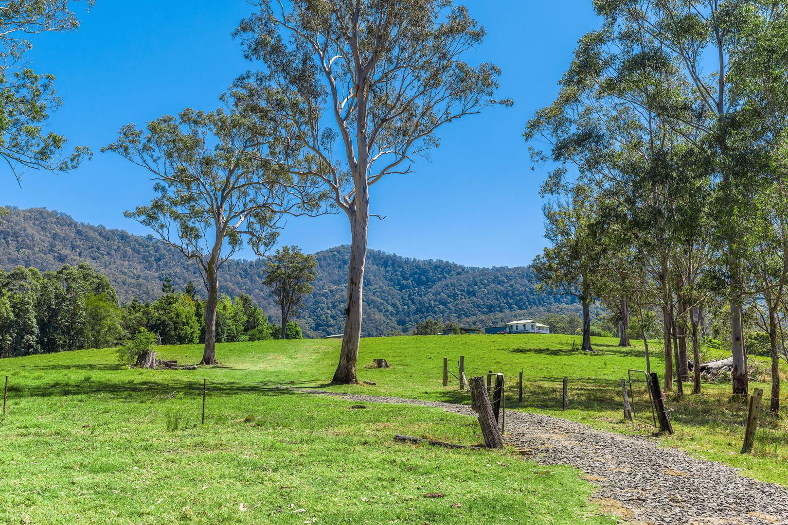 975 Green Pigeon Road, Green Pigeon Via, Kyogle NSW 2474, Image 1