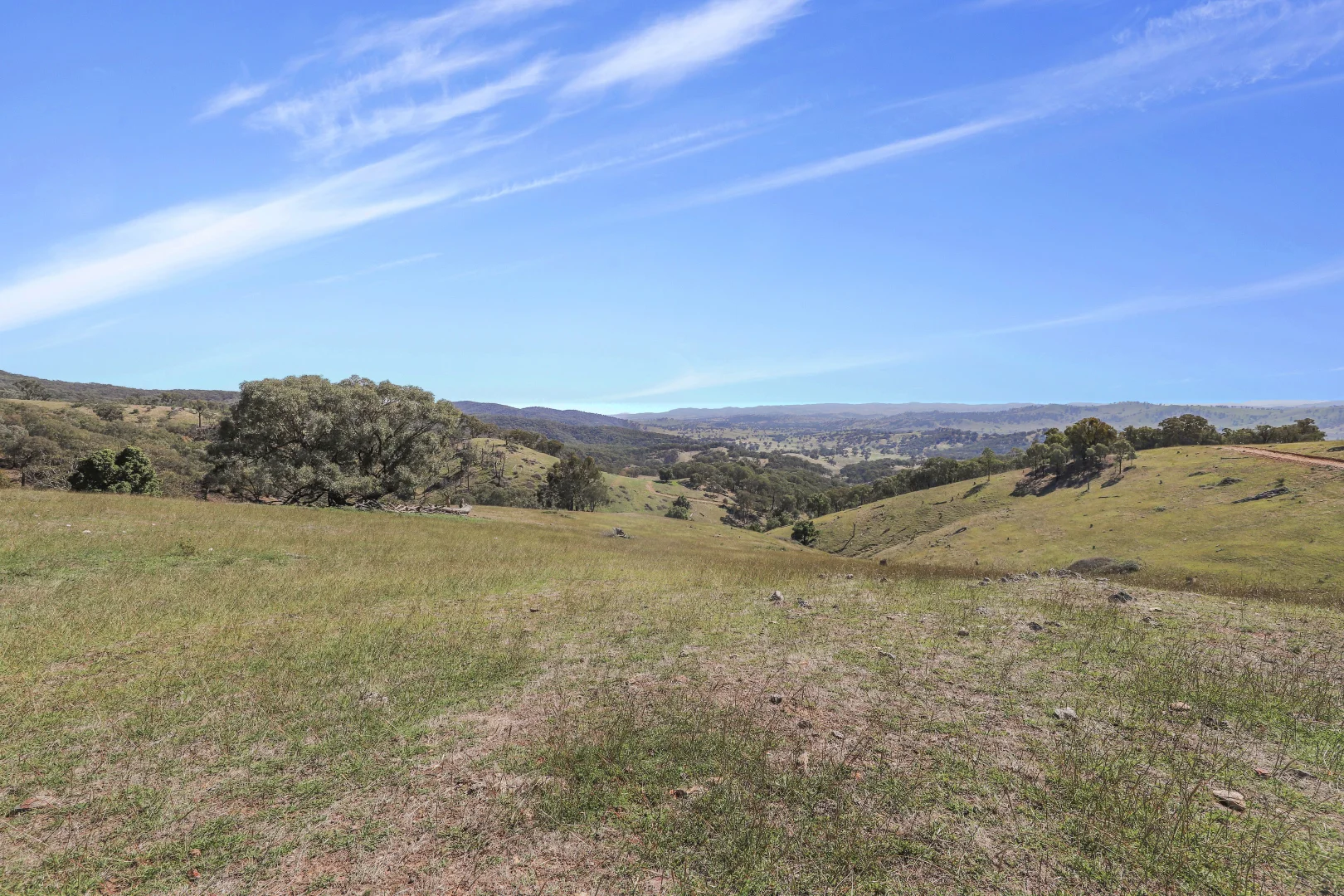 Additional image 7 of Part 1169 Grahamstown Road, Adelong NSW 2729