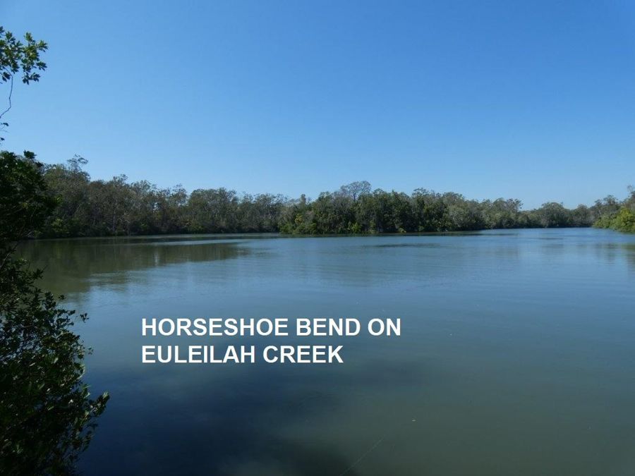 Lot 3 Taunton Road, Euleilah QLD 4674, Image 1