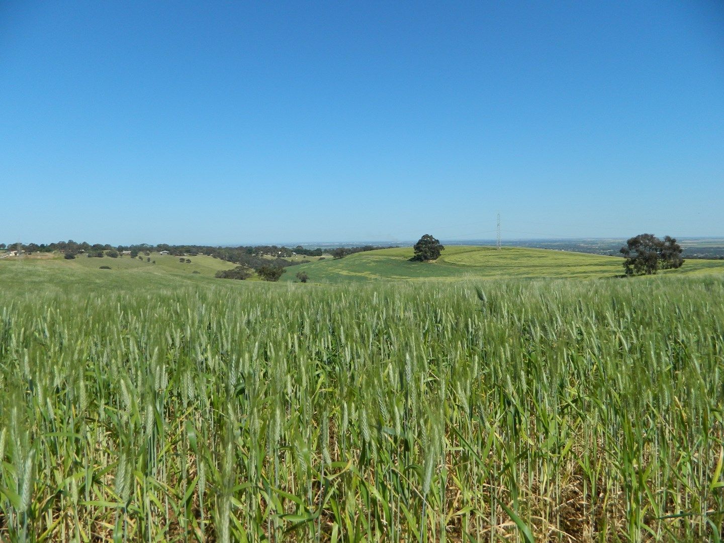 Allotment 4 Gawler - One Tree Hill Road, Bibaringa SA 5118, Image 0