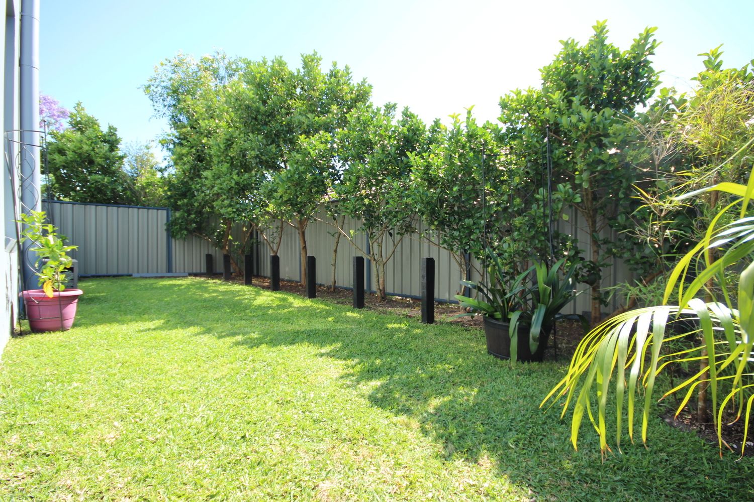 3/152 Little Street, Forster NSW 2428, Image 2