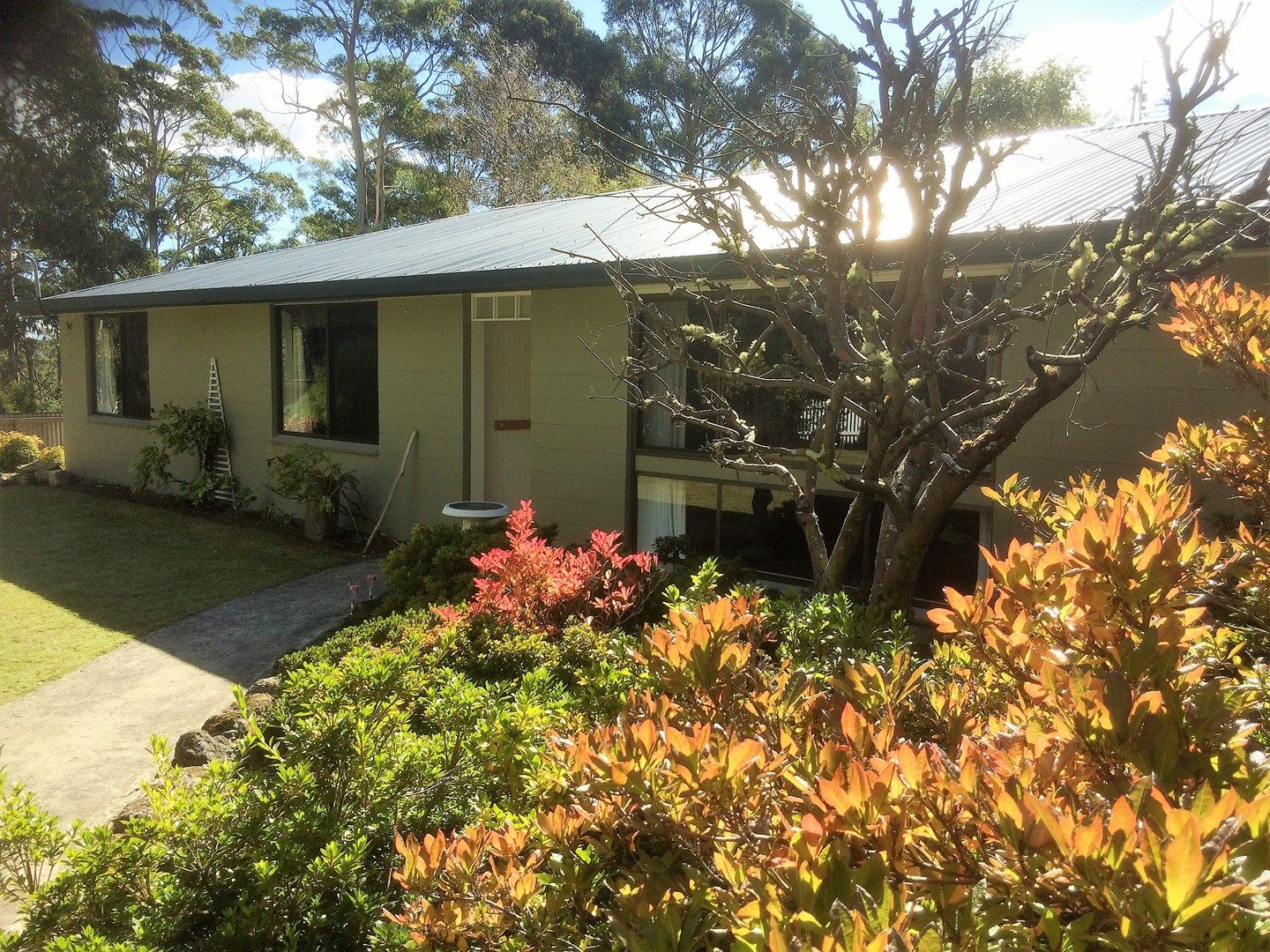 280 Mount Charles Road, Lachlan TAS 7140, Image 0