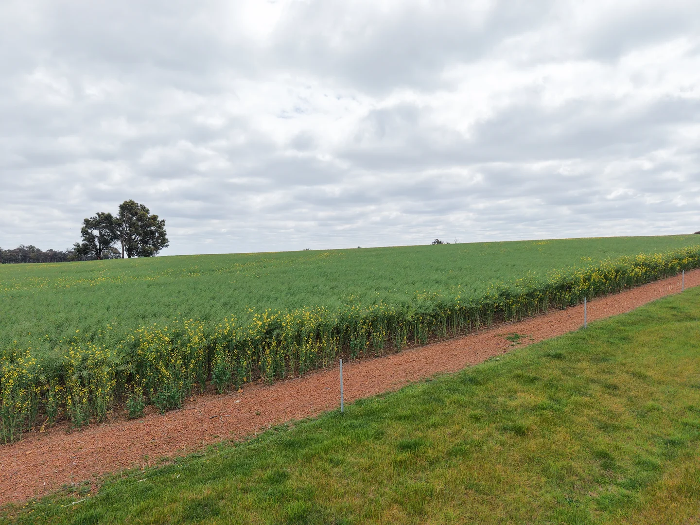 Image 23