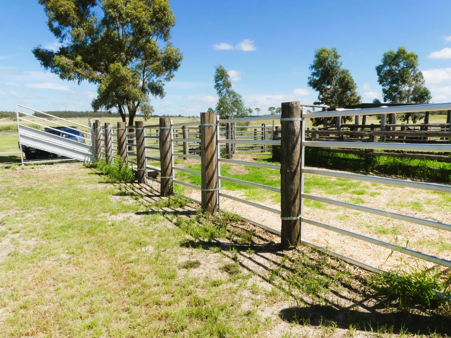 Additional image 33 of 'Langley' 344 Clarke Creek Road, Dulacca QLD 4425