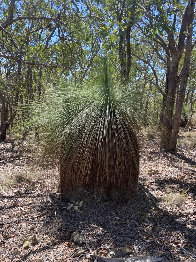 Additional image 7 of Lot 156-159 Prince of Wales Terrace, Riddells Creek VIC 3431