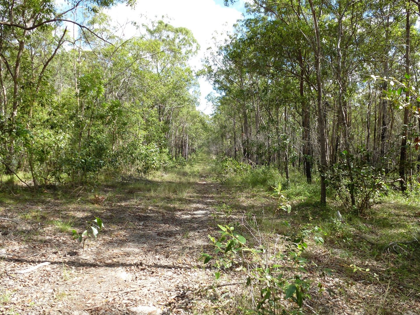661 (lot 35) Mineral Road, Rosedale QLD 4674, Image 0