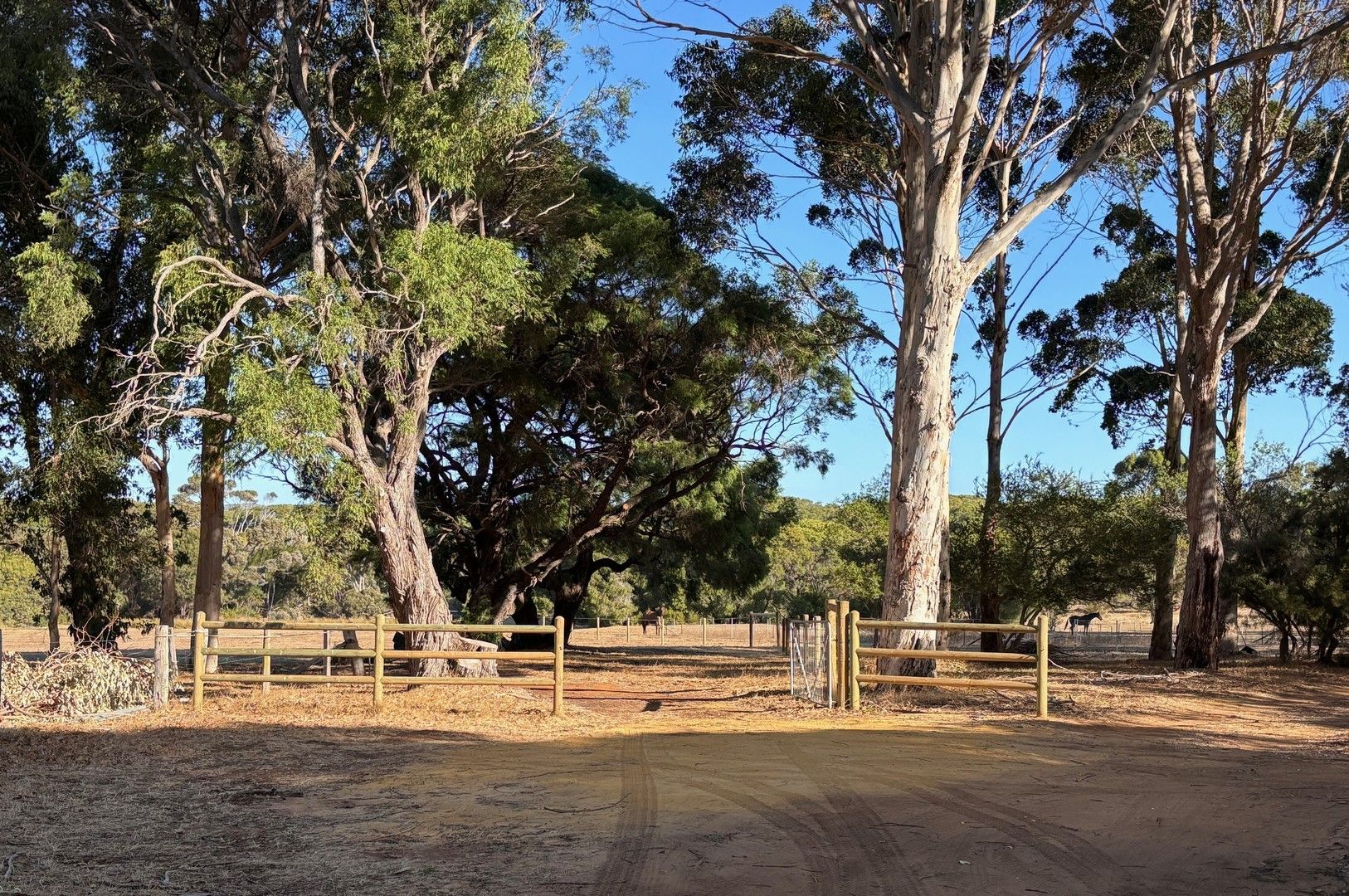 9569 (PL 582) Caves Road, Hamelin Bay WA 6288, Image 0