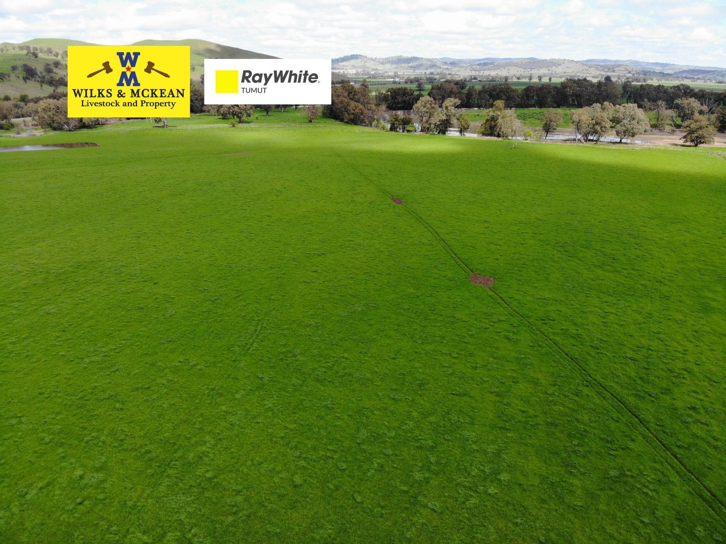 324 Hume Highway, Gundagai NSW 2722 Specialist Farm for Sale 900,000