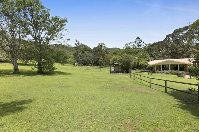 Picture of 23 Rusty Court, TALLEBUDGERA VALLEY QLD 4228