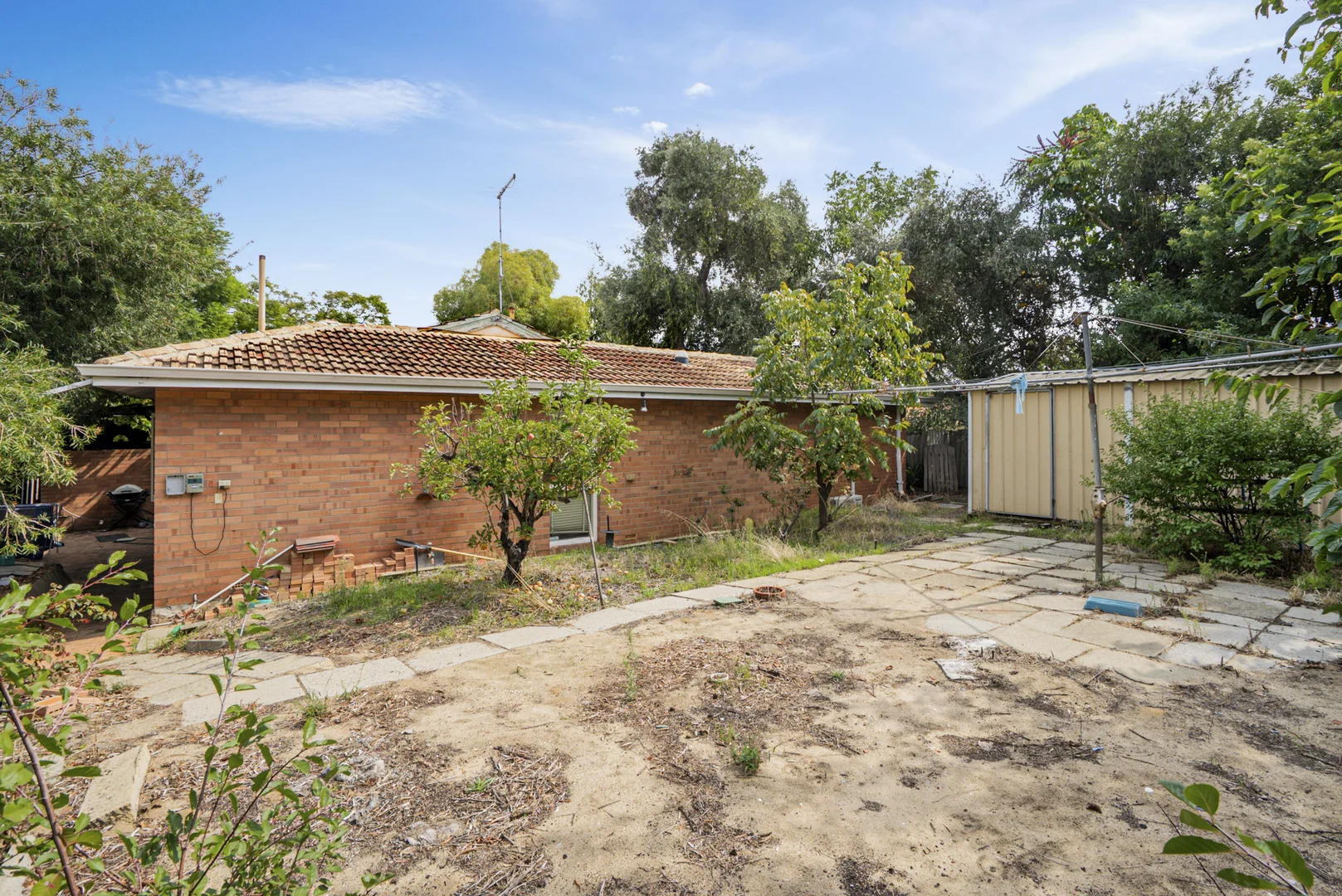 Image 29