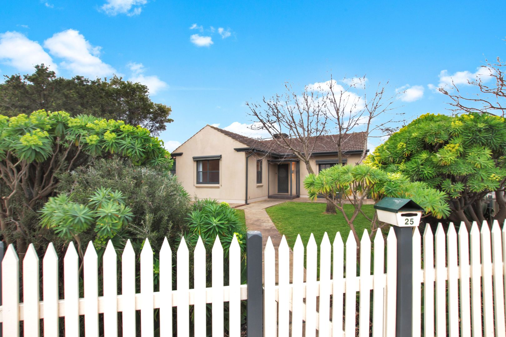 25 Poole Avenue, Woodville Sout Property History & Address Research