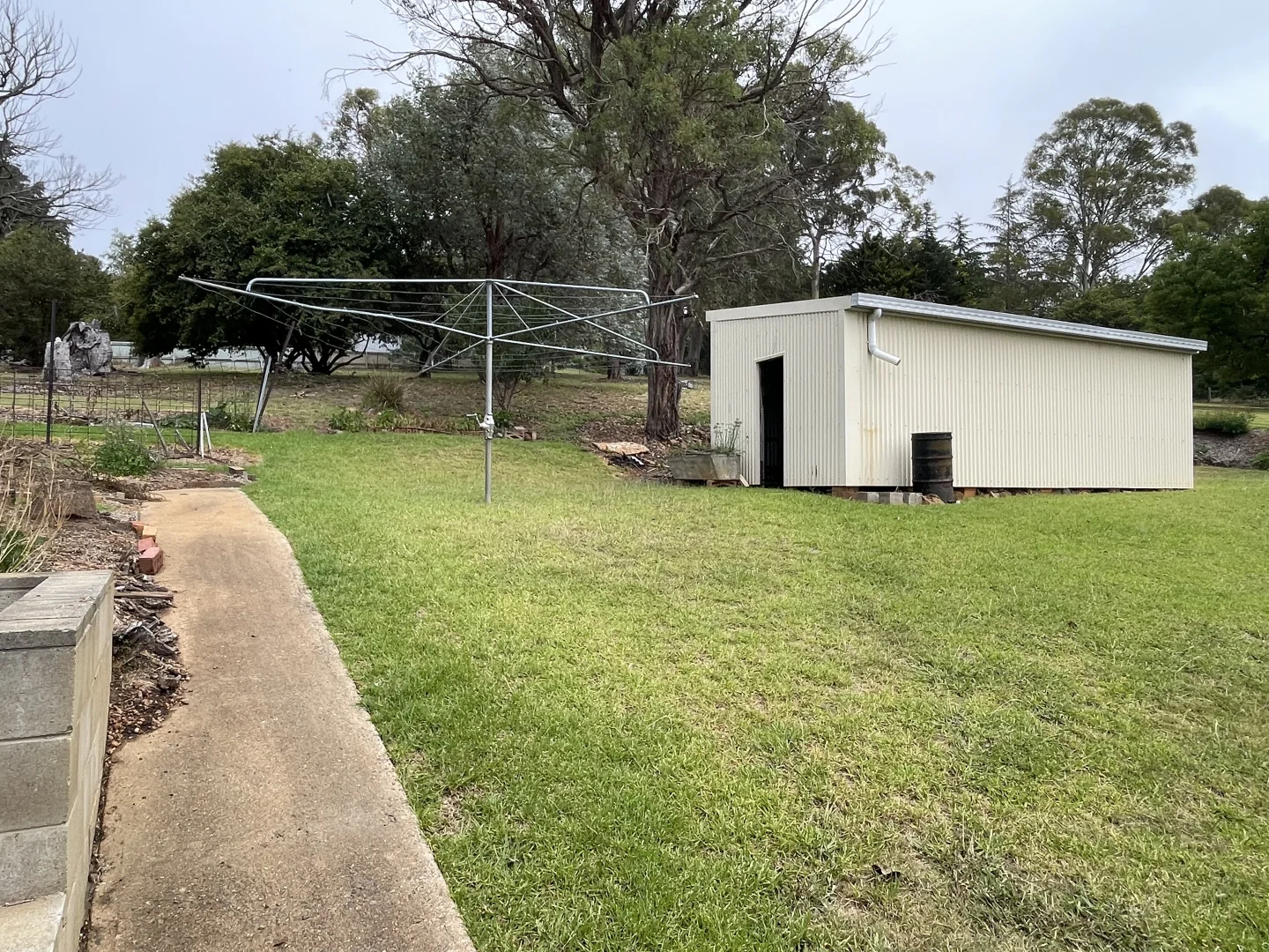 Image 11
