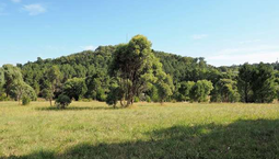 Picture of Lots 8-9-10, URALLA NSW 2358