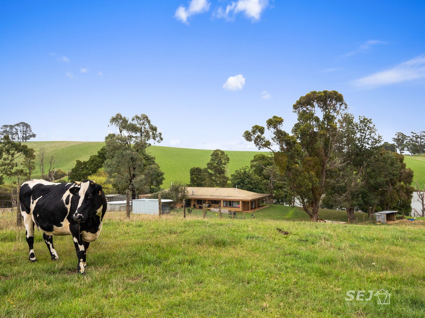 710 Nicholls Road, Mirboo North VIC 3871, Image 2