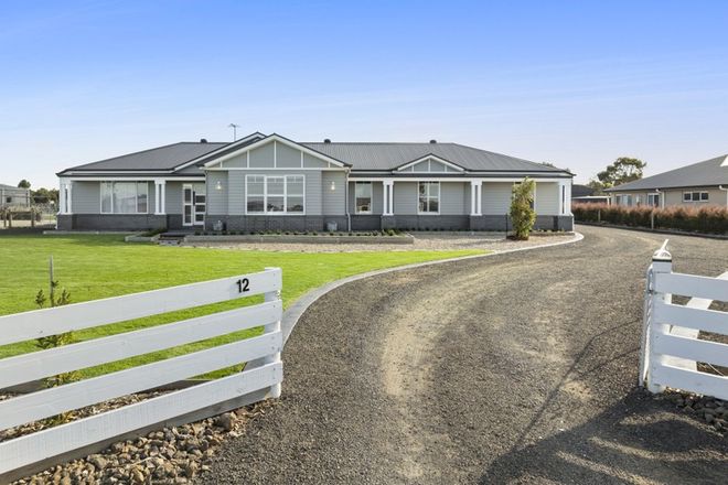 Picture of 12 Le Maitre Drive, BANNOCKBURN VIC 3331