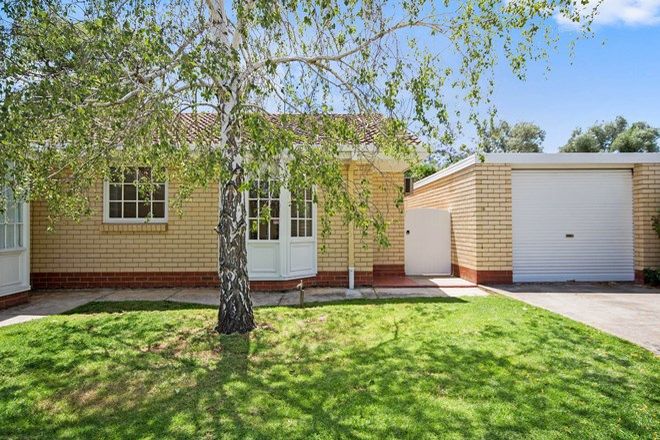 Picture of 6/5 Galway Avenue, COLLINSWOOD SA 5081