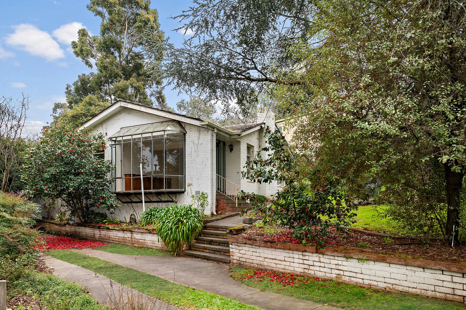 11 Lorraine Drive, Briar Hill VIC 3088, Image 1