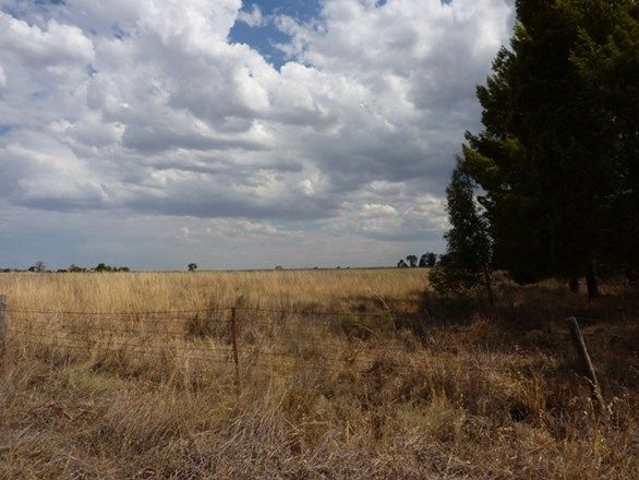 Lot 51 Mitchell Highway, Dubbo NSW 2830, Image 2