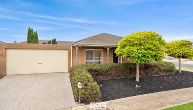 Picture of 24 Hewat Drive, HIGHTON VIC 3216