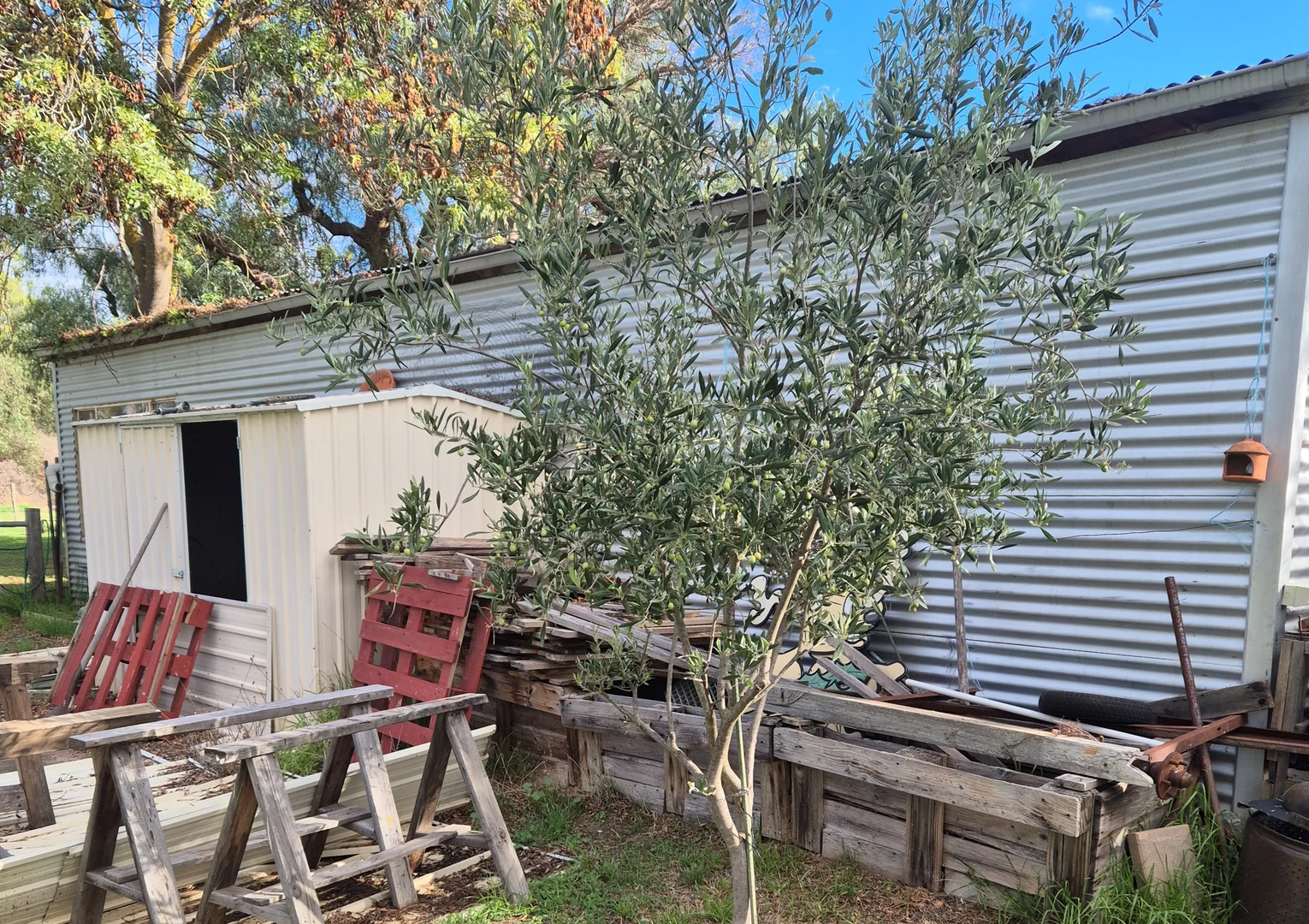 Additional image 19 of 20 Astbury Street, Avoca VIC 3467