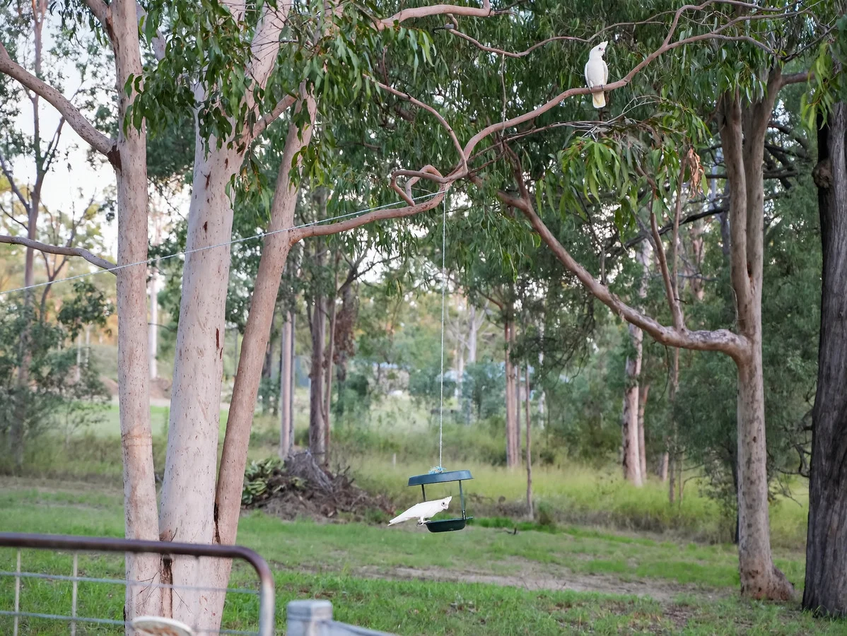 Image 9