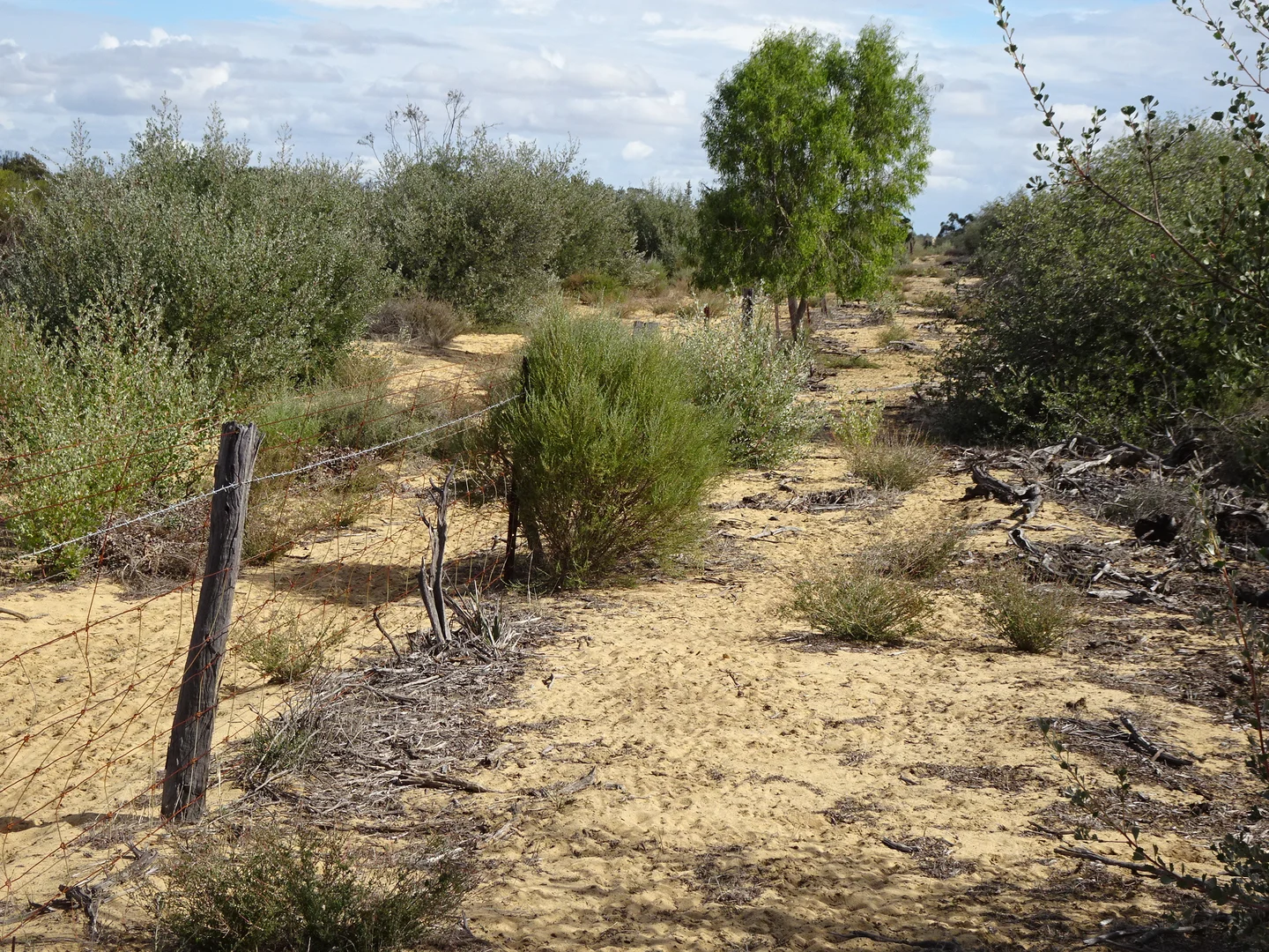 Image 11