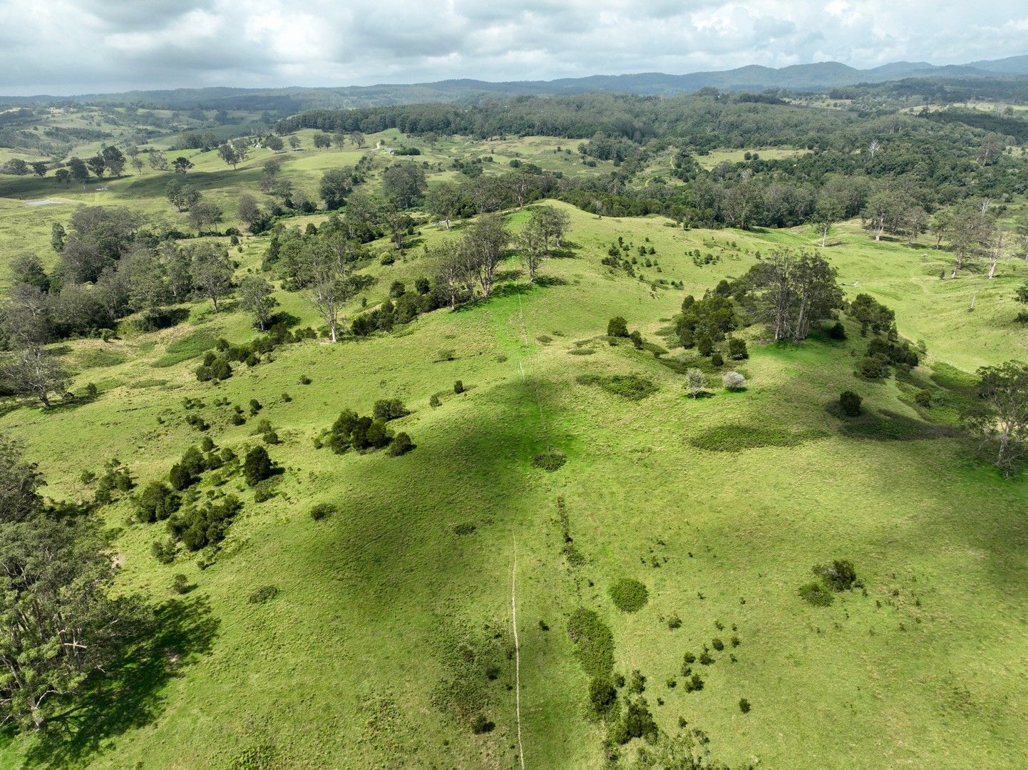 355 Doyles River Road, Elands NSW 2429, Image 0