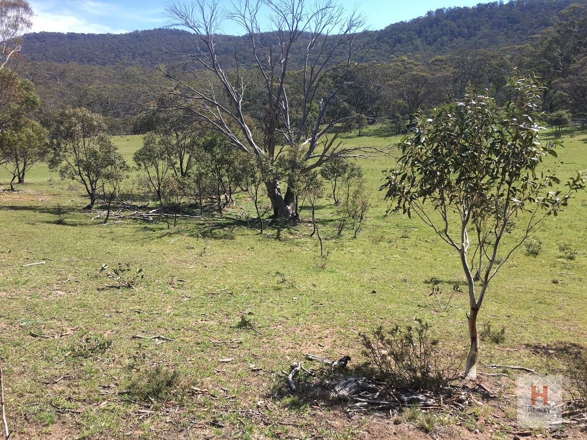 Lot 82 Westons Road, Crackenback NSW 2627, Image 0