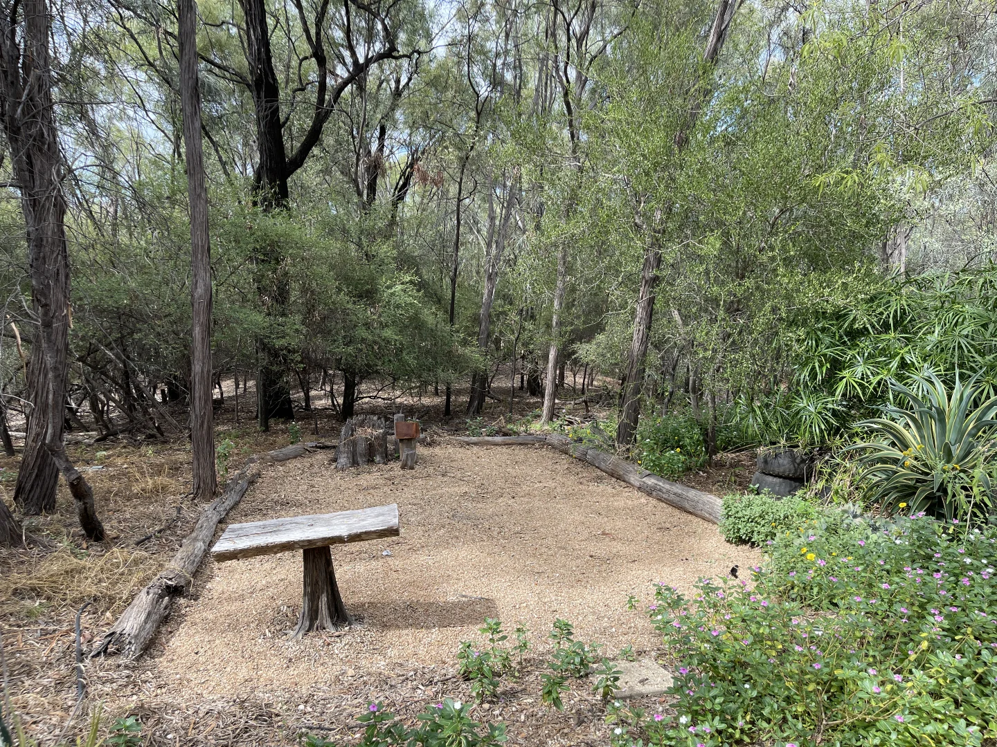Image 10