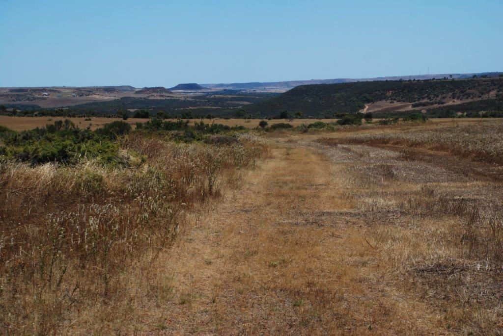 Nanson WA 6532 House for Sale 280,000 Domain