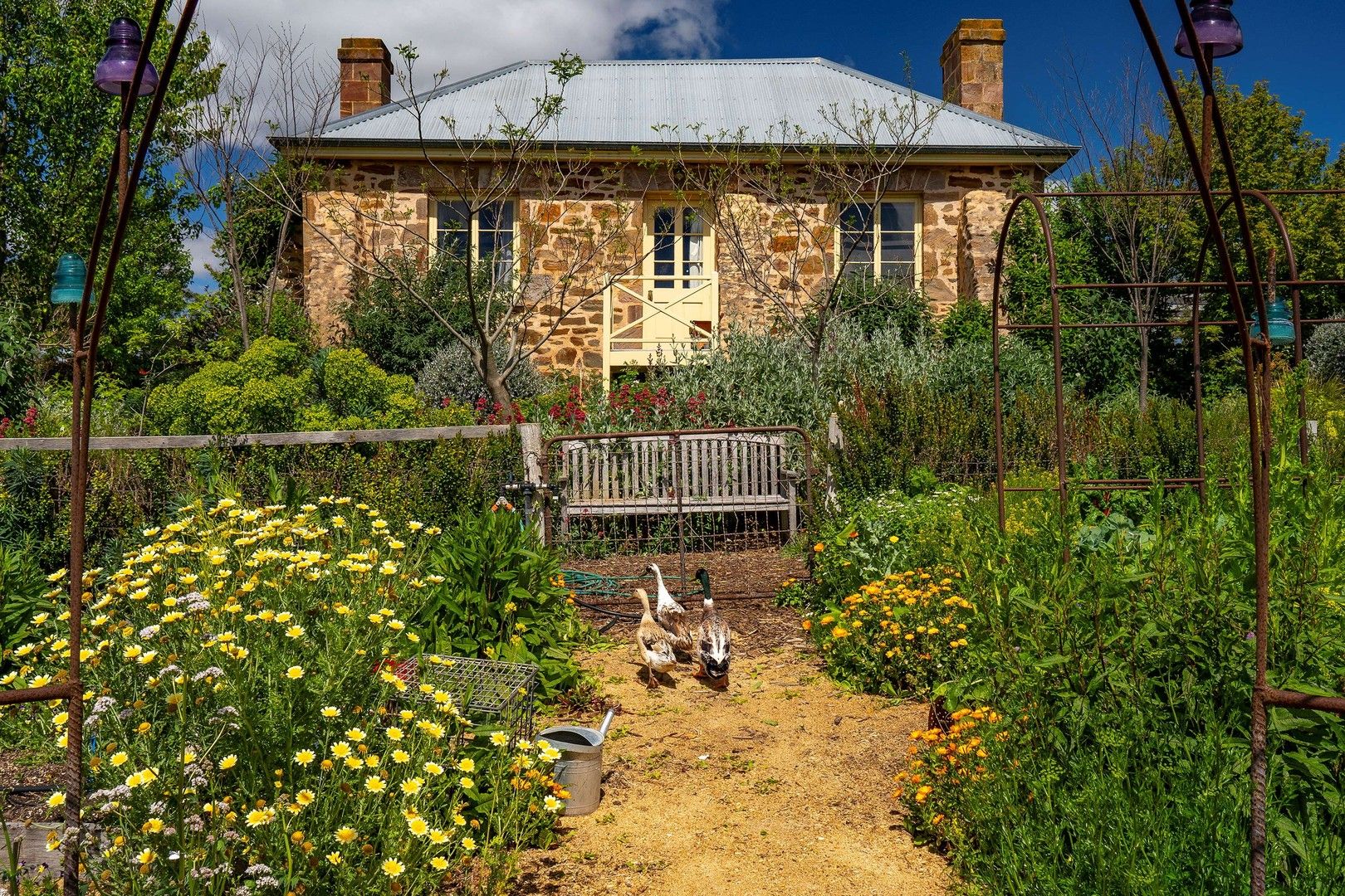 394 Springs Road, Mount Barker SA 5251 House for Sale Domain