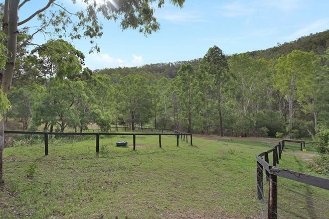 Picture of Lot 21 Banks Creek Road, BANKS CREEK QLD 4306