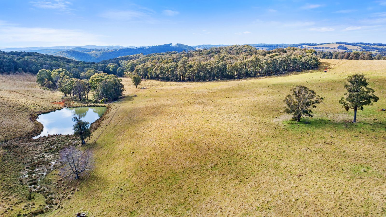 Bellevue Downs Nowendoc Road, Niangala NSW 2354, Image 1