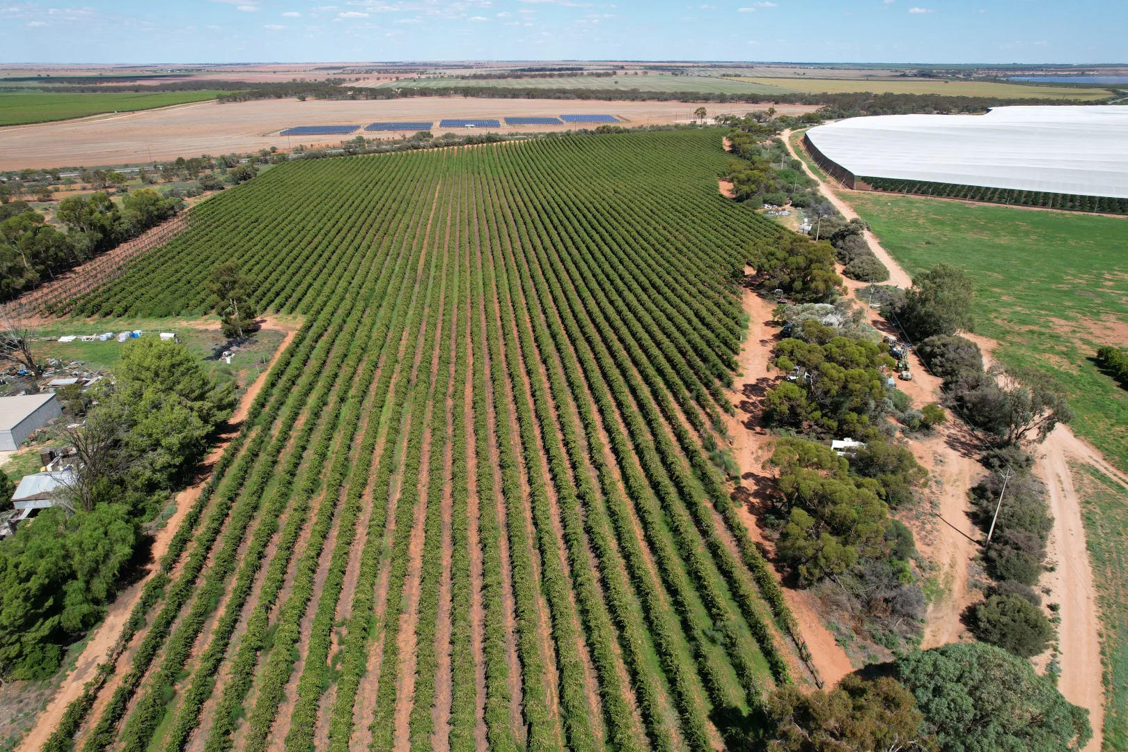 Additional image 7 of Lot 7 Pike Creek Road, Lyrup SA 5343