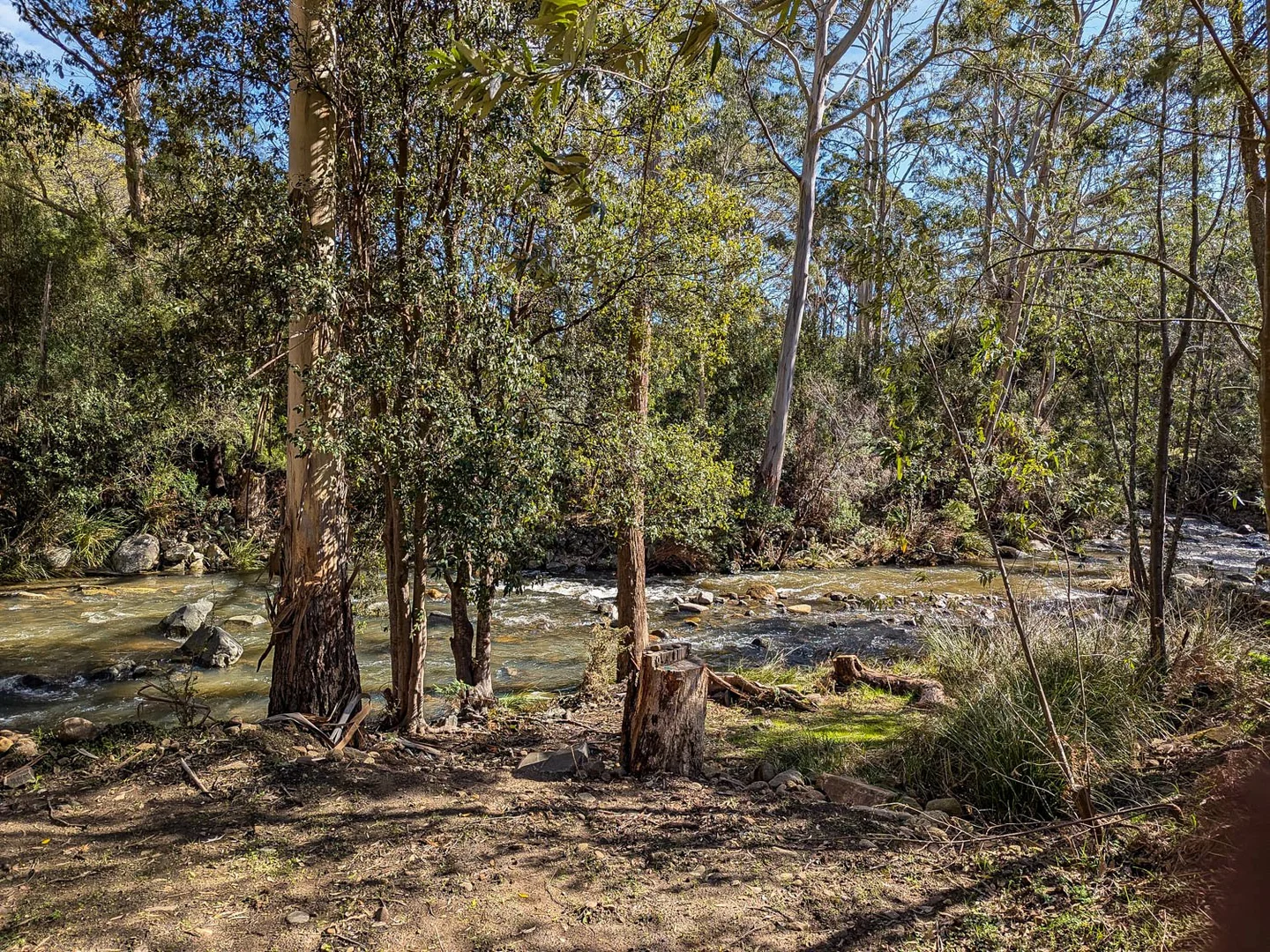 Image 15