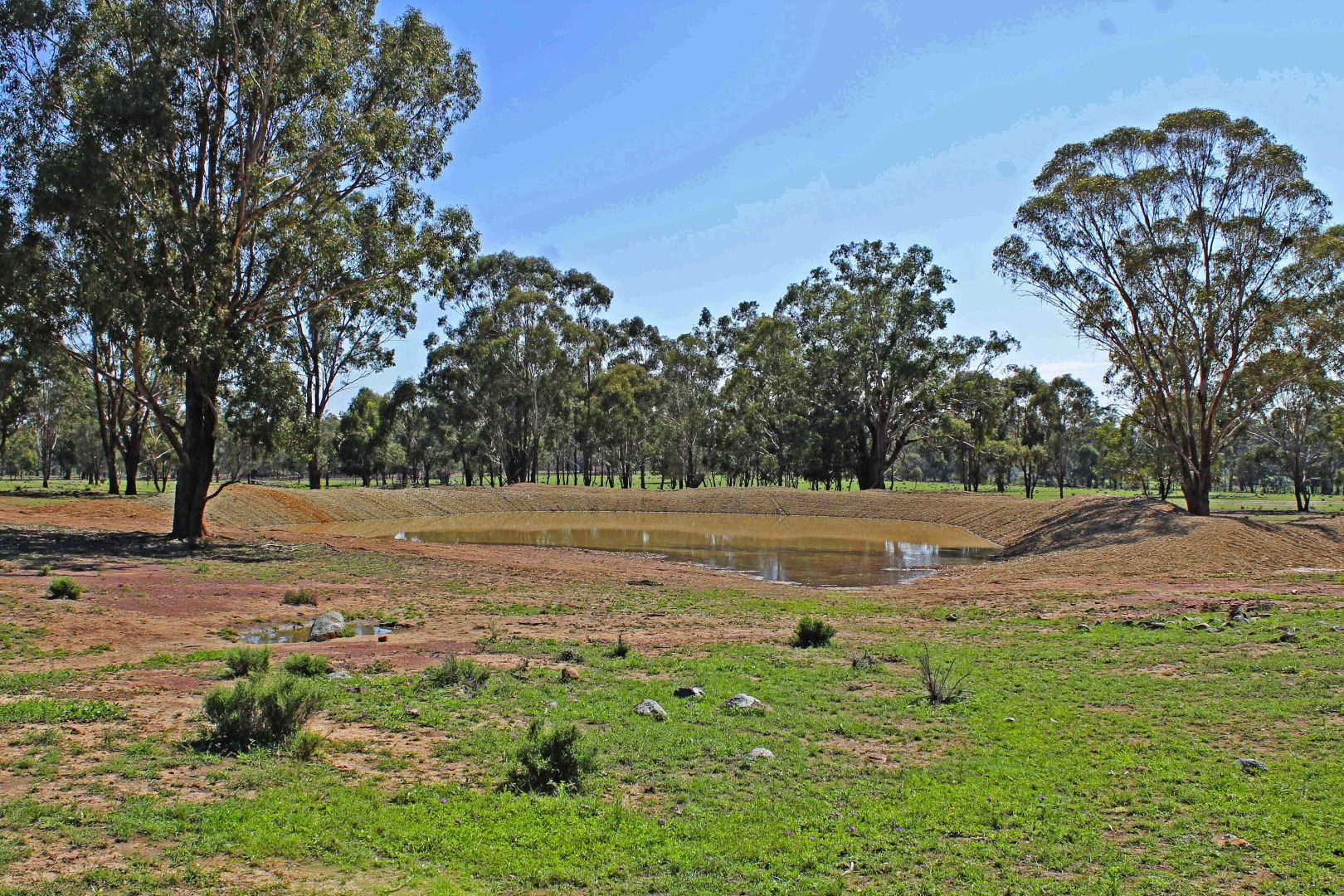 Lot 10 Rodgers Creek Road, Warwick QLD 4370, Image 2