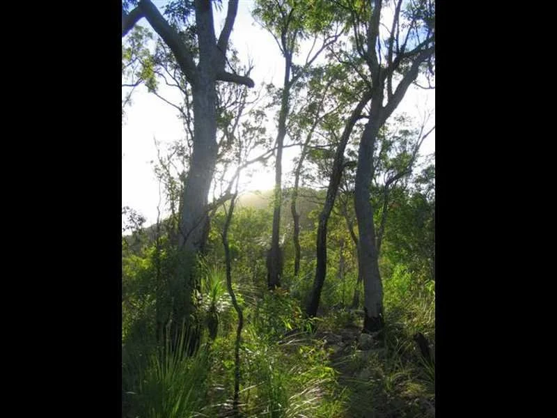 Image 10