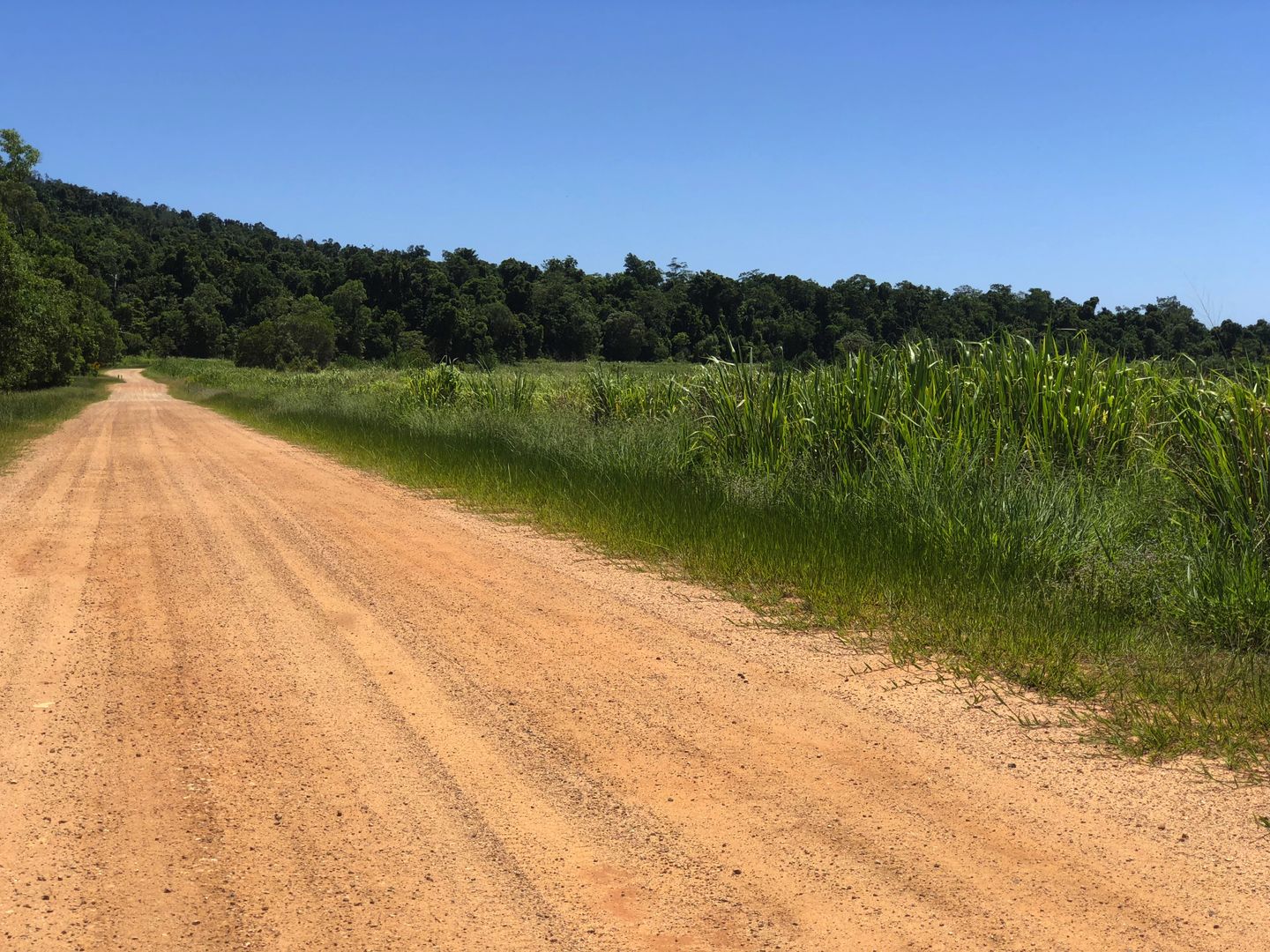 Tully QLD 4854 Vacant Land for Sale ... Domain