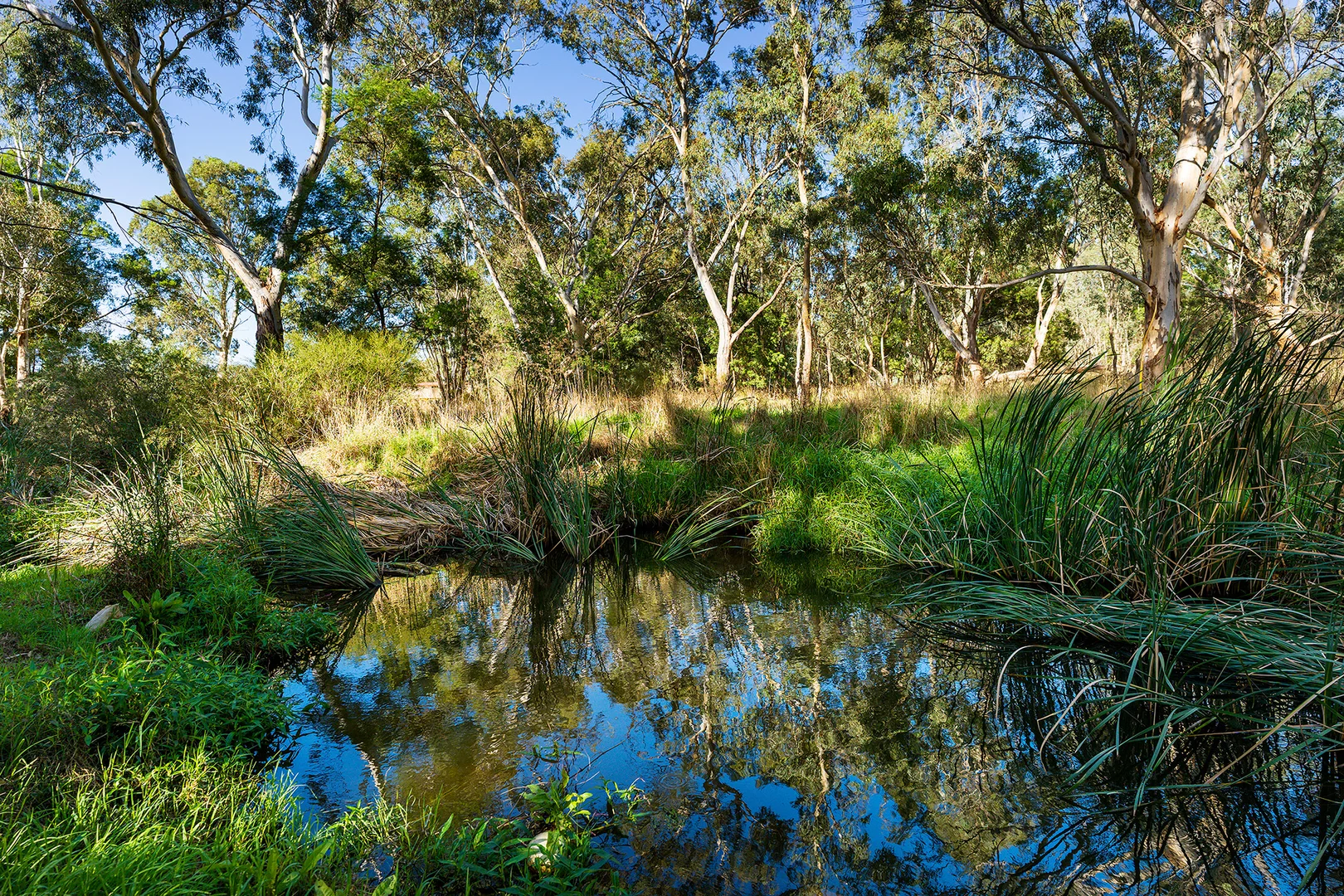 Additional image 21 of 142 Johnstone Street, Castlemaine VIC 3450