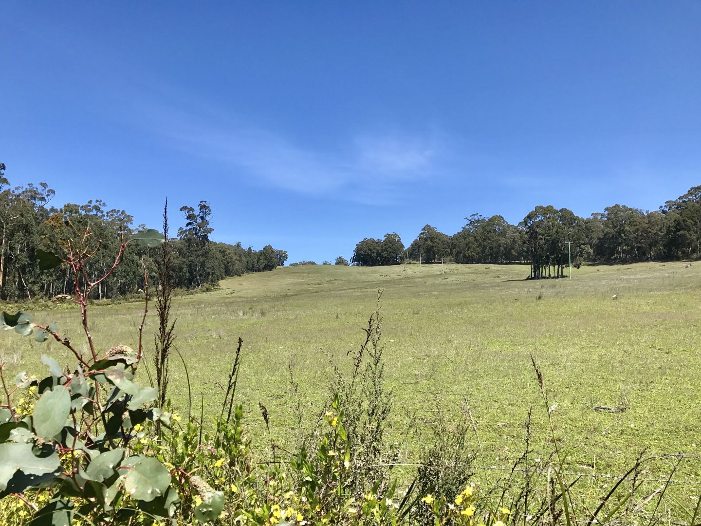 Lot1/4333 Bruny Island Main Road, Lunawanna TAS 7150, Image 2