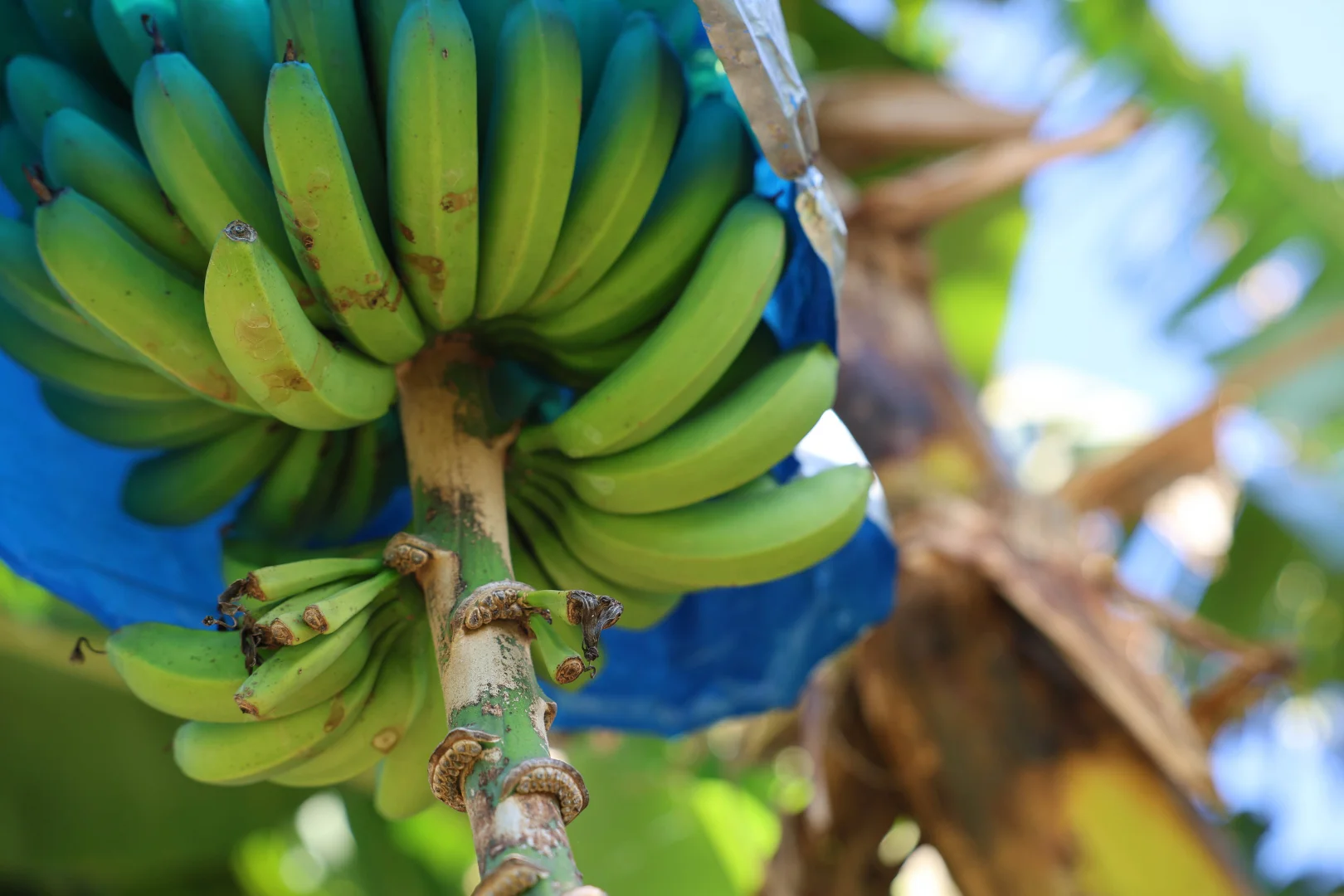 Additional image 28 of Cooroy Mountain QLD 4563