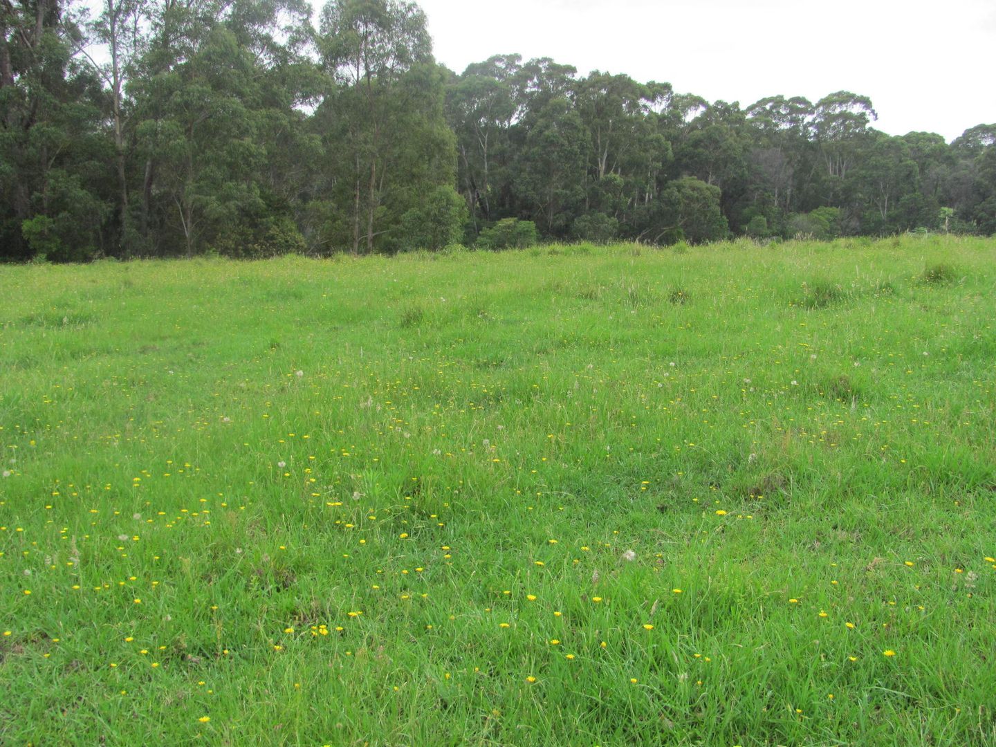 Lot 2, 375 Wamban Road, Moruya NSW 2537, Image 1