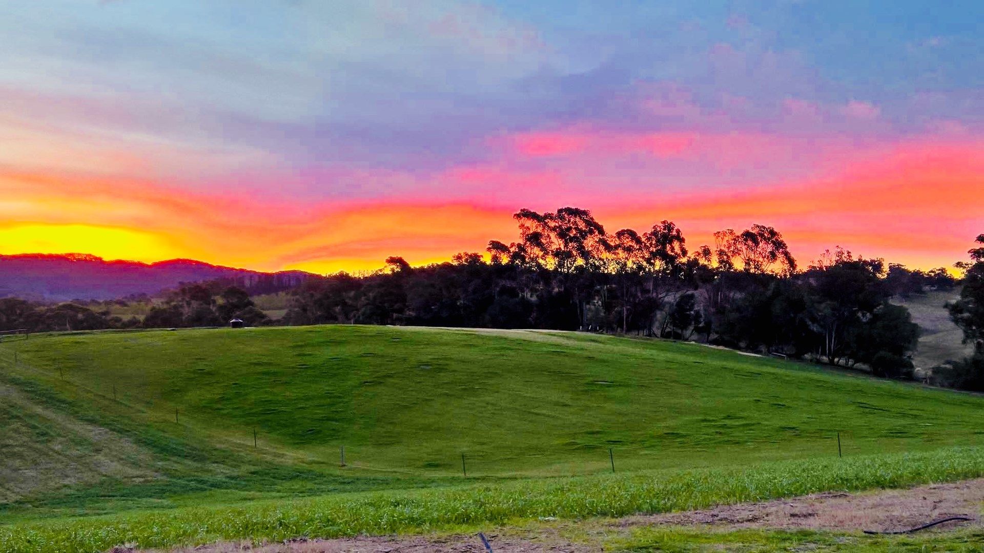 173 B Martins Rd, Oakbank SA 5243 House For Rent 650 Domain