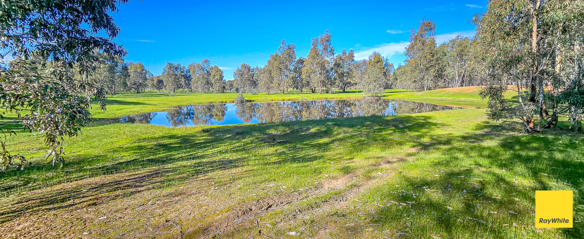 Image 13