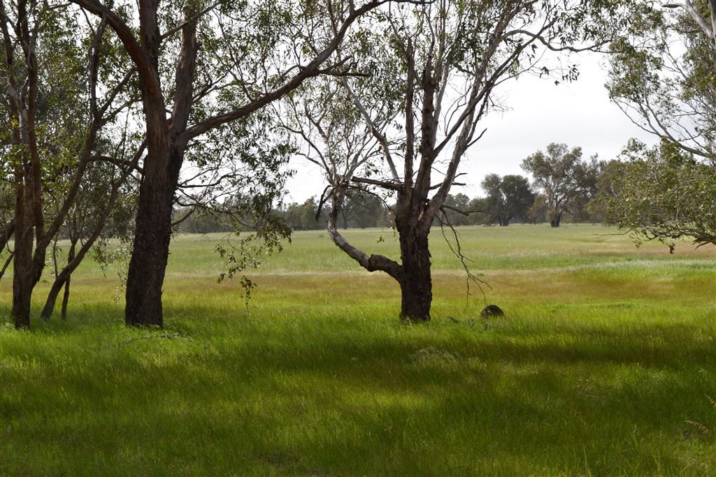 Lot 221 Nabaroo Road, Gingin WA 6503, Image 1