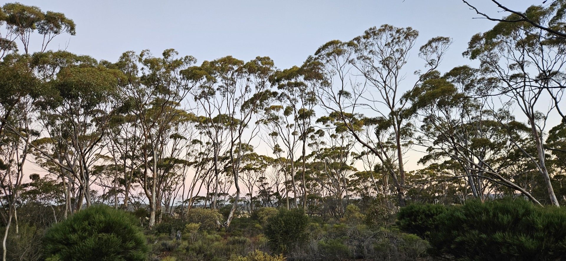 Lot 1 Carlingup Road, Ravensthorpe WA 6346 Vacant Land for Sale